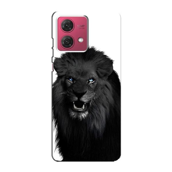 Чехлы с картинками животных Motorola MOTO G84 – Черный ЛЕВ
