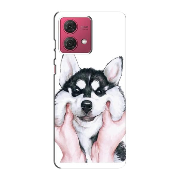 Чехол с Хаски для Motorola MOTO G84 - (AlphaPrint) – Хаски улыбака