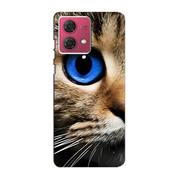 Чехлы с Котиками для Motorola MOTO G84 (VPrint) – Глаз кота