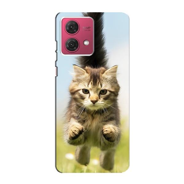 Чехлы с Котиками для Motorola MOTO G84 (VPrint) – Прыжок кота