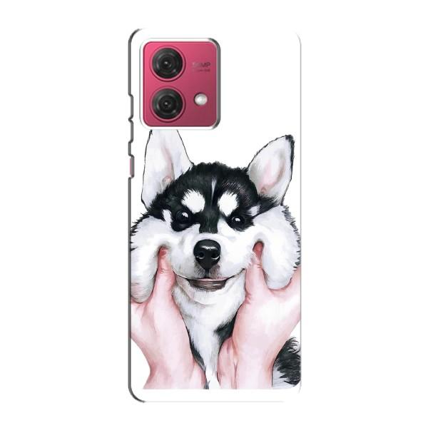 Чехлы с собаками для Motorola MOTO G84 (VPrint) – Довольный Хаски