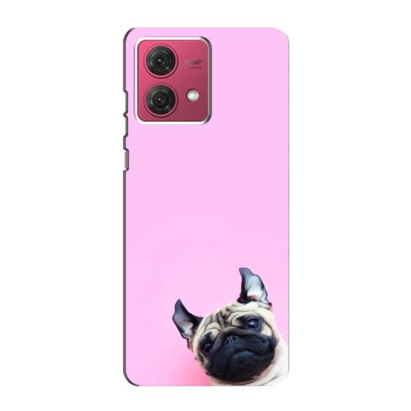 Чехлы с собаками для Motorola MOTO G84 (VPrint) – Смешная собака