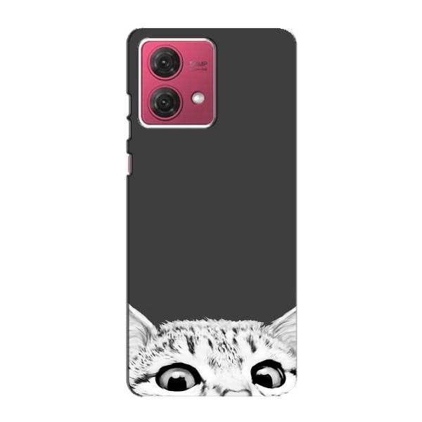 Чехол на МОТО джи84 с Котами (VPrint) – Выглядывает кот