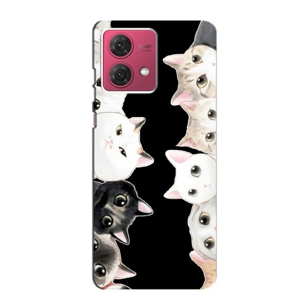 Чехол на МОТО джи84 с Котами (VPrint) – Взгляд котов