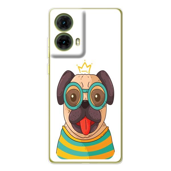 Бампер для Motorola MOTO G85 с картинкой "Песики" – Собака Король