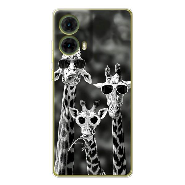 Силіконовий чохол з КАРТИНКАМИ літо для Motorola MOTO G85 (AlphaPrint) – Жирафи в окулярах
