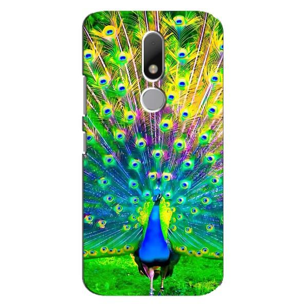 Чехол с птицами на Motorola Moto M (VPrint) – Яркий Павлин