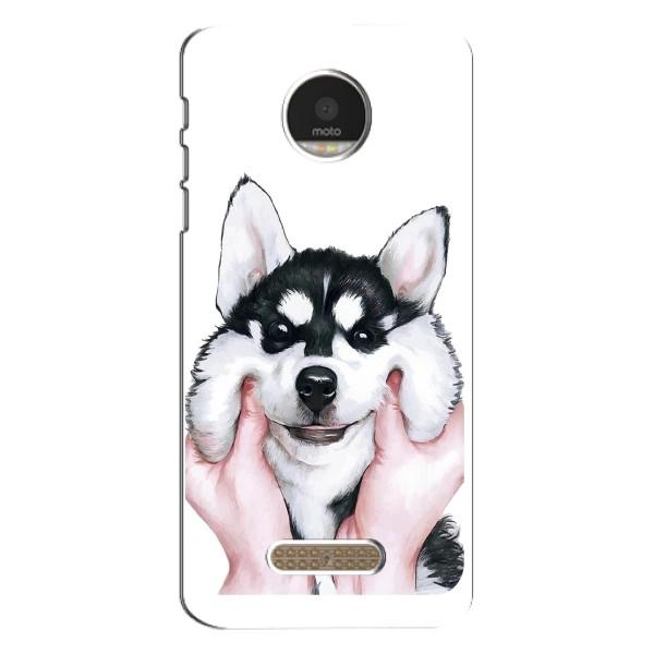 Чехлы с собаками для Motorola MOTO Z Play (VPrint) – Довольный Хаски