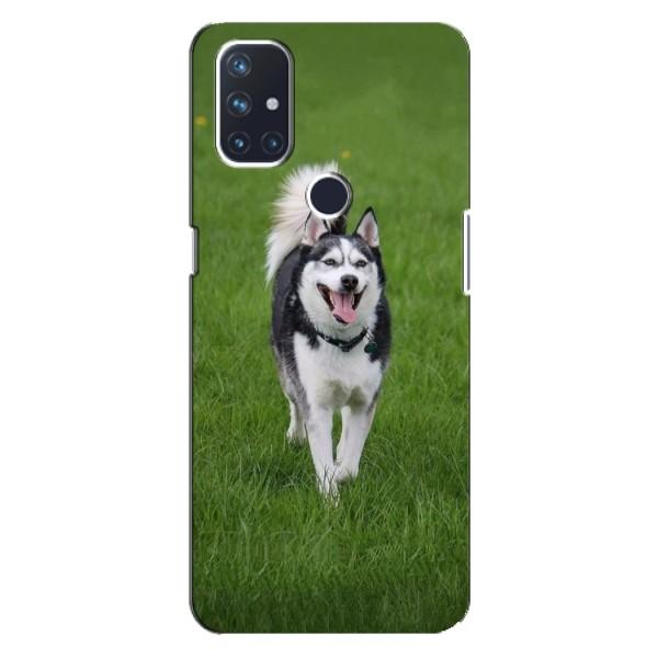 Чехол с Хаски для OnePlus Nord 10 5G - (AlphaPrint) – Радостный Хаски