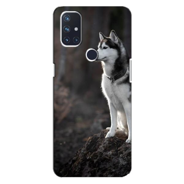 Чехол с Хаски для OnePlus Nord 10 5G - (AlphaPrint) – Верный пес