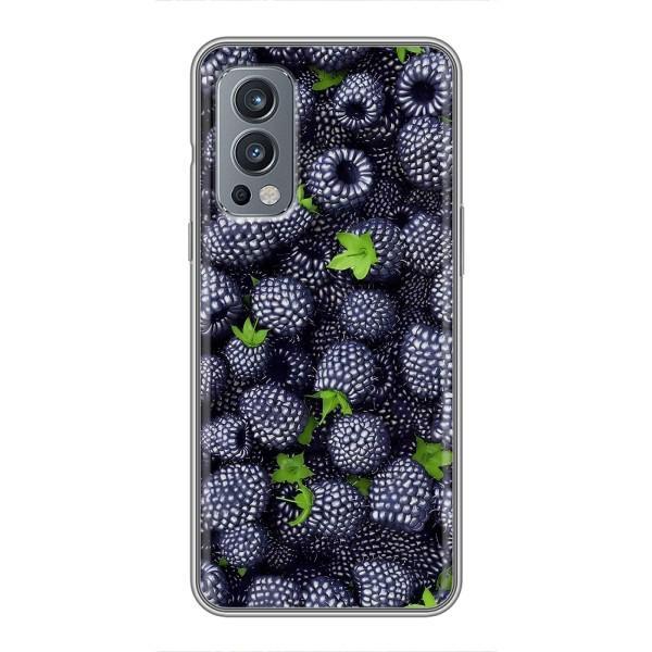 Чехлы с Фруктами для OnePlus Nord 2 (VPrint) – Ежевика