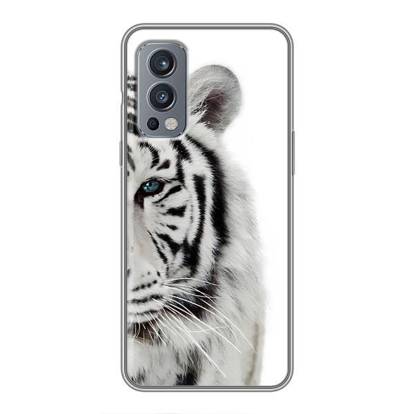 Чехлы с картинками животных OnePlus Nord 2 – Белый Тигр