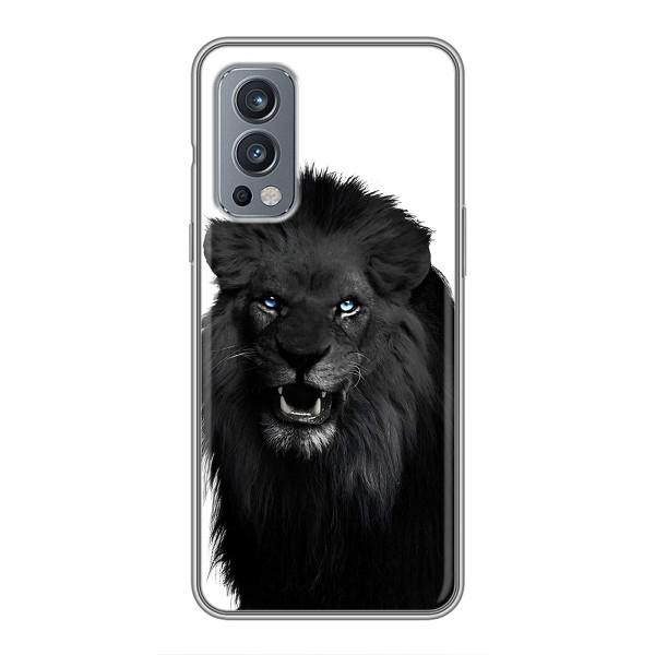 Чехлы с картинками животных OnePlus Nord 2 – Черный ЛЕВ