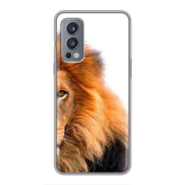 Чехлы с картинками животных OnePlus Nord 2 – Лев грива