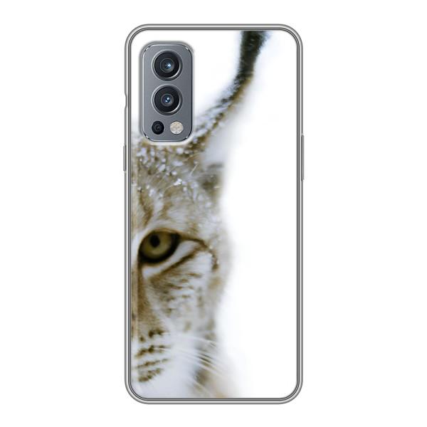 Чехлы с картинками животных OnePlus Nord 2 – Рысь