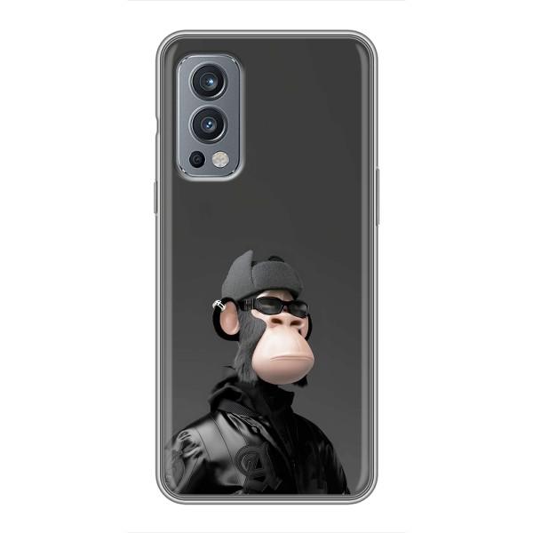 Чохли з Мавпами NFT для OnePlus Nord 2 (AlphaPrint) – стильна мавпа NFT