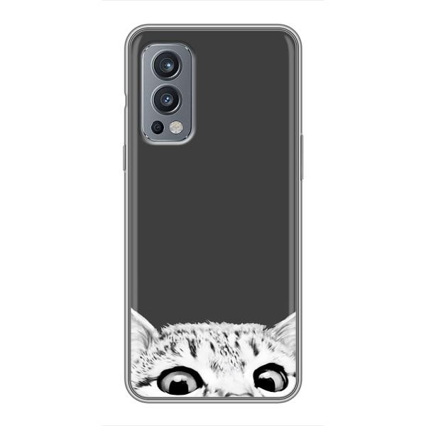 Чехол на ВанПлас Норд 2 с Котами (VPrint) – Выглядывает кот