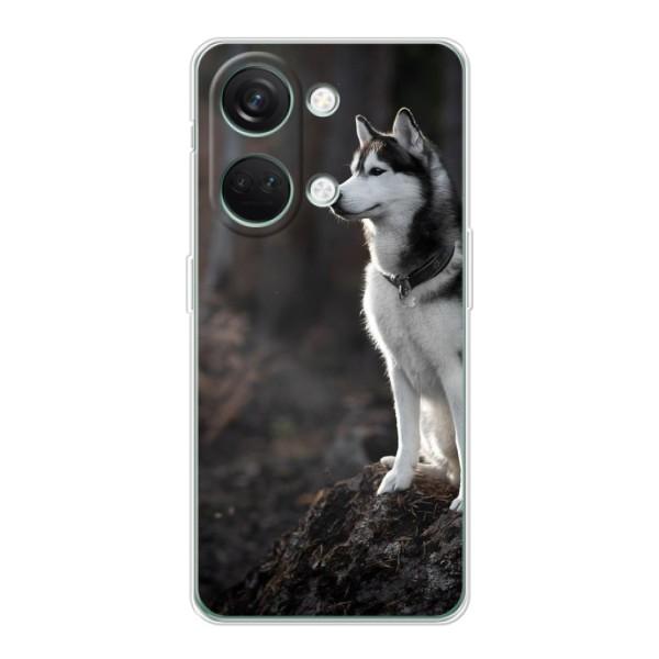 Чехол с Хаски для OnePlus Nord 3 5G - (AlphaPrint) – Верный пес