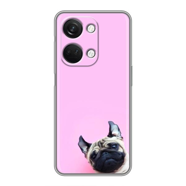 Чохли з собаками для OnePlus Nord 3 5G (VPrint) – Смішна собака