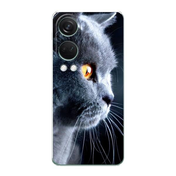 Чехлы с Котиками для OnePlus Nord 4 (VPrint) – Серый Кот