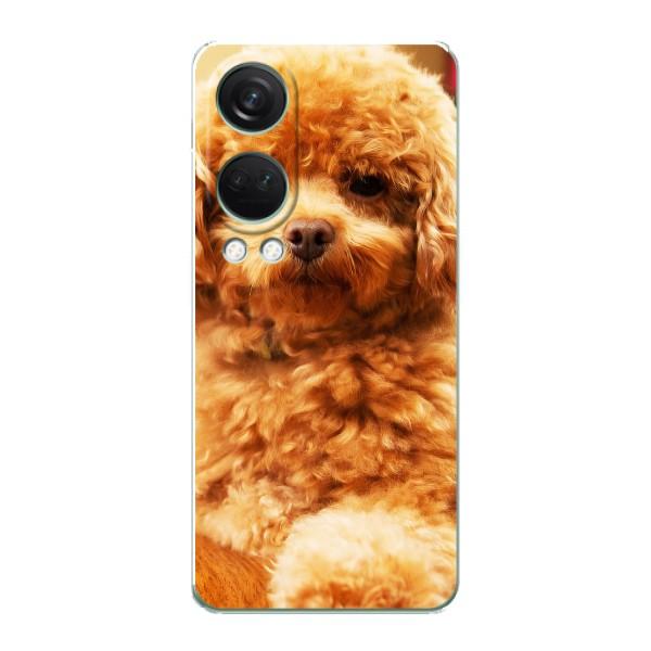 Чехлы с собаками для OnePlus Nord 4 (VPrint) – Щенок Бишон