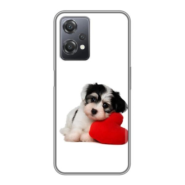 Чехлы с собаками для OnePlus Nord CE 2 (5G) (IV2201) (VPrint) – Песик
