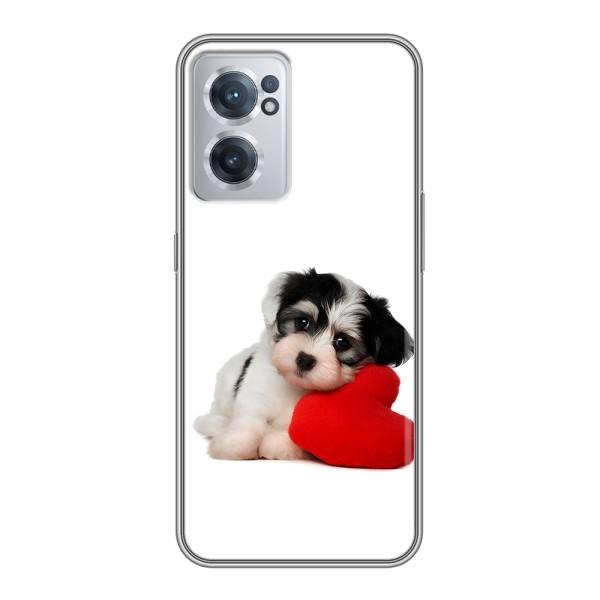 Чохли з собаками для OnePlus Nord CE 2 Lite 5G (VPrint) – Песик