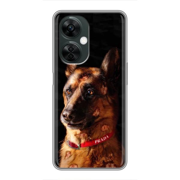 Чохли з картинкою животних OnePlus Nord CE 3 Lite – Овчарка