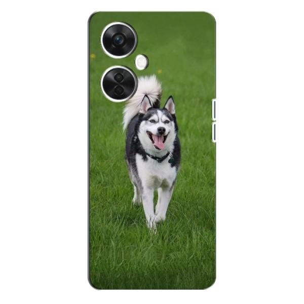 Чохол з Хаскі OnePlus Nord CE 3 Lite - (AlphaPrint) – Радісний Хаскі