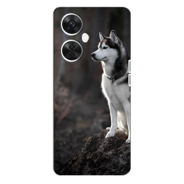 Чохол з Хаскі OnePlus Nord CE 3 Lite - (AlphaPrint) – Вірний собака