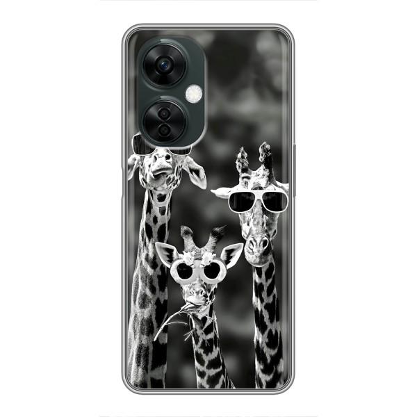 Силиконовый чехол с КАРТИНКАМИ лето для OnePlus Nord CE 3 Lite (AlphaPrint) – Жирафы в очках