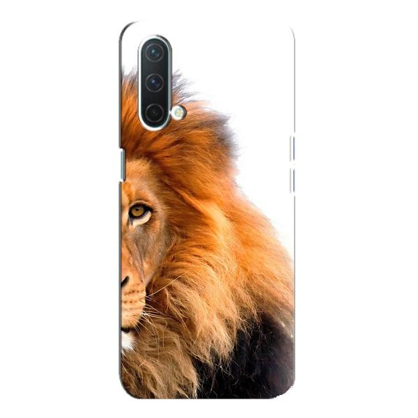 Чохли з картинкою животних OnePlus Nord CE 5G – Лев грива