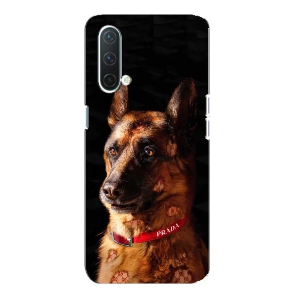 Чохли з картинкою животних OnePlus Nord CE 5G – Овчарка