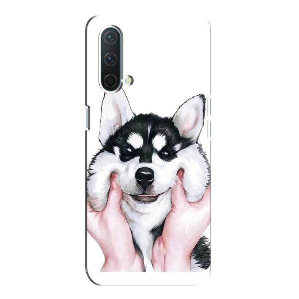 Чехлы с собаками для OnePlus Nord CE 5G (VPrint) – Довольный Хаски
