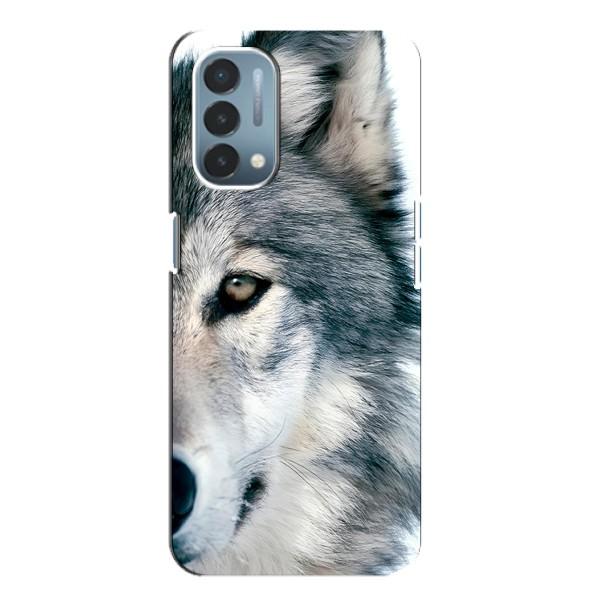 Чохли з картинкою животних OnePlus Nord N200 5G (DE211) – Вовк