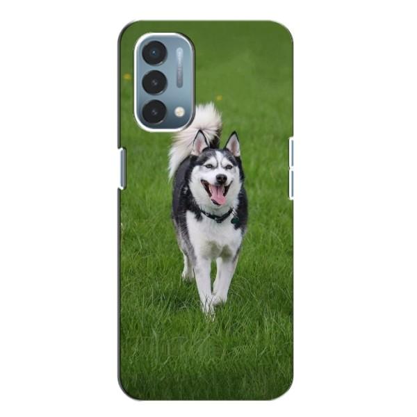 Чохол з Хаскі OnePlus Nord N200 5G (DE211) - (AlphaPrint) – Радісний Хаскі