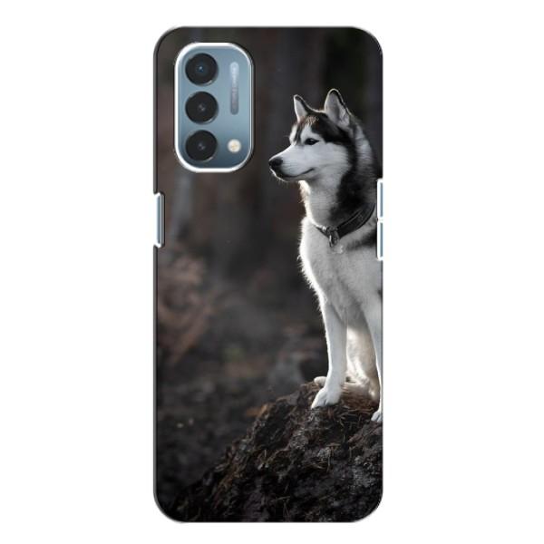Чохол з Хаскі OnePlus Nord N200 5G (DE211) - (AlphaPrint) – Вірний собака