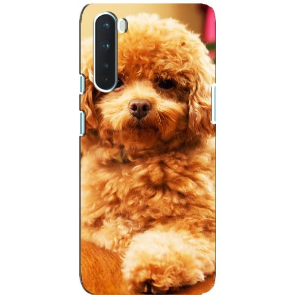 Чехлы с собаками для OnePlus Nord (VPrint) – Щенок Бишон