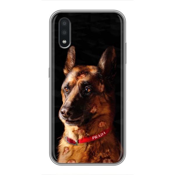 Чохли з картинкою животних Samsung Galaxy A01 Core – Овчарка