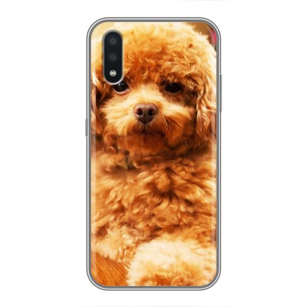 Чехлы с собаками для Samsung Galaxy A01 Core (VPrint) – Щенок Бишон