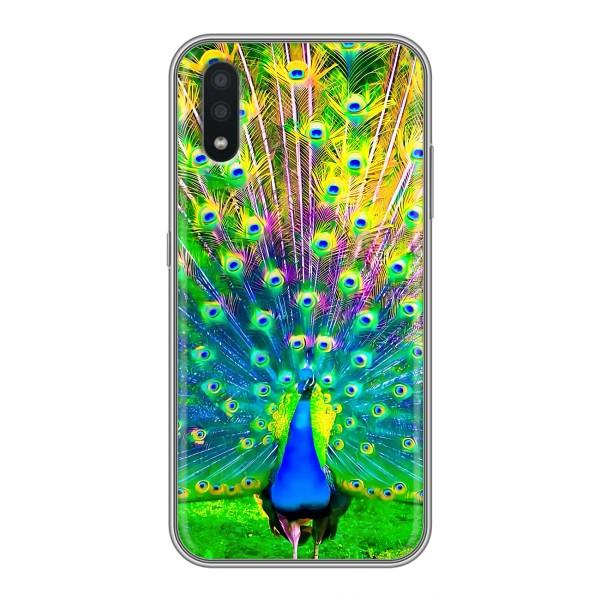 Чехол с птицами на Samsung Galaxy A01 Core (VPrint) – Яркий Павлин