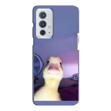 Бампер з принтом Меми для OnePlus 9RT – Качка
