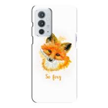 Чехлы с картинкой Лисички для OnePlus 9RT (VPrint)