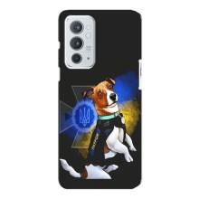 Чехлы с картинкой собаки Патрон для OnePlus 9RT (AlphaPrint) – Патрон собачка