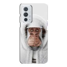 Чохли з Мавпами NFT для OnePlus 9RT (AlphaPrint)