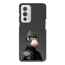 Чохли з Мавпами NFT для OnePlus 9RT (AlphaPrint)