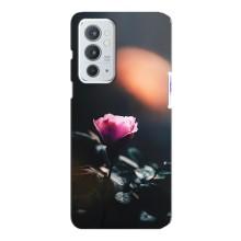 Чехлы с принтом Розочки для OnePlus 9RT – Цветок ночной