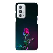 Чехлы с принтом Розочки для OnePlus 9RT – Ночная роза