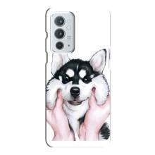 Чехлы с собаками для OnePlus 9RT (VPrint)