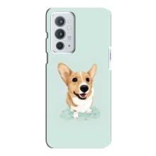 Чехлы с собаками для OnePlus 9RT (VPrint)